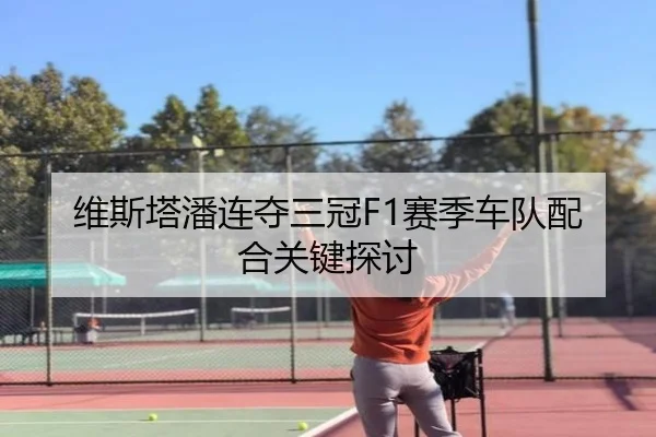 维斯塔潘连夺三冠F1赛季车队配合关键探讨